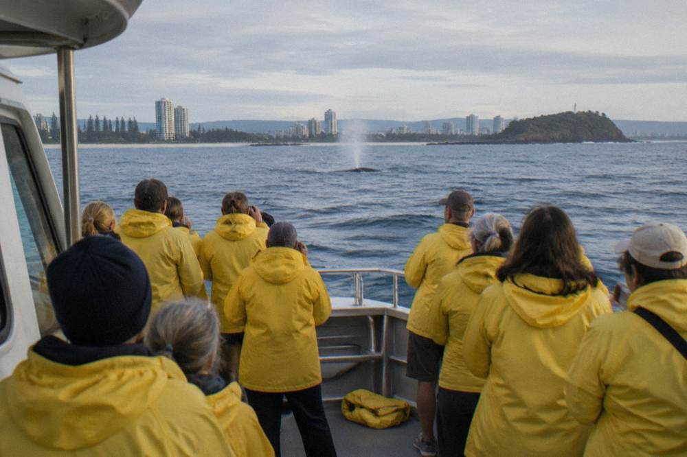 A small safari-style whale watching boat with a dozen passengers in spray jackets watching a whale surface nearby