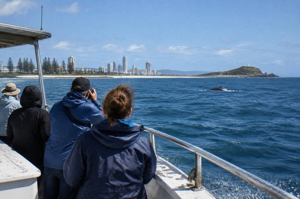 Passengers in spray jackets scanning the ocean from the deck of a small safari-style boat