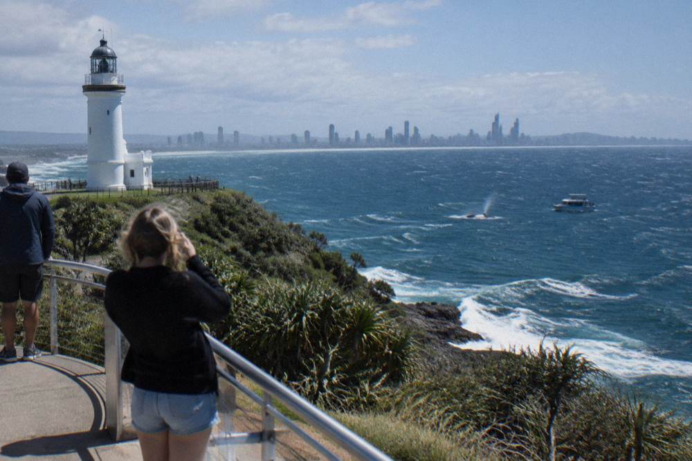 A whale watching boat holding a wide distance from a distant surfacing whale