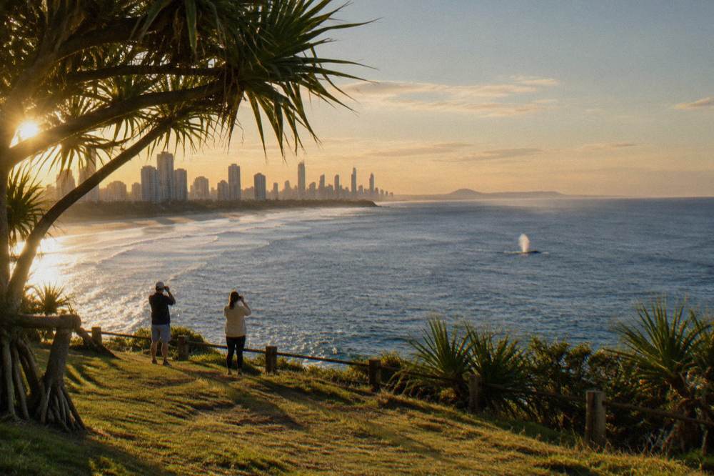 A coastal headland lookout above the ocean south of the Gold Coast