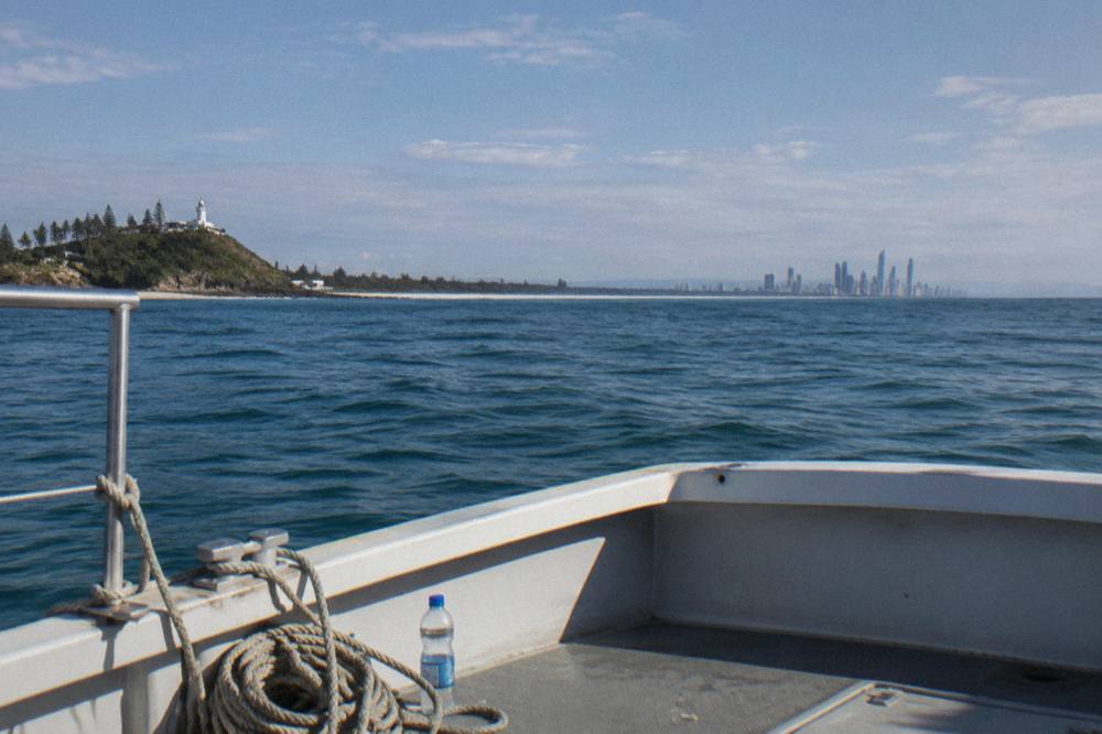The deck of a whale watching vessel overlooking a calm ocean horizon