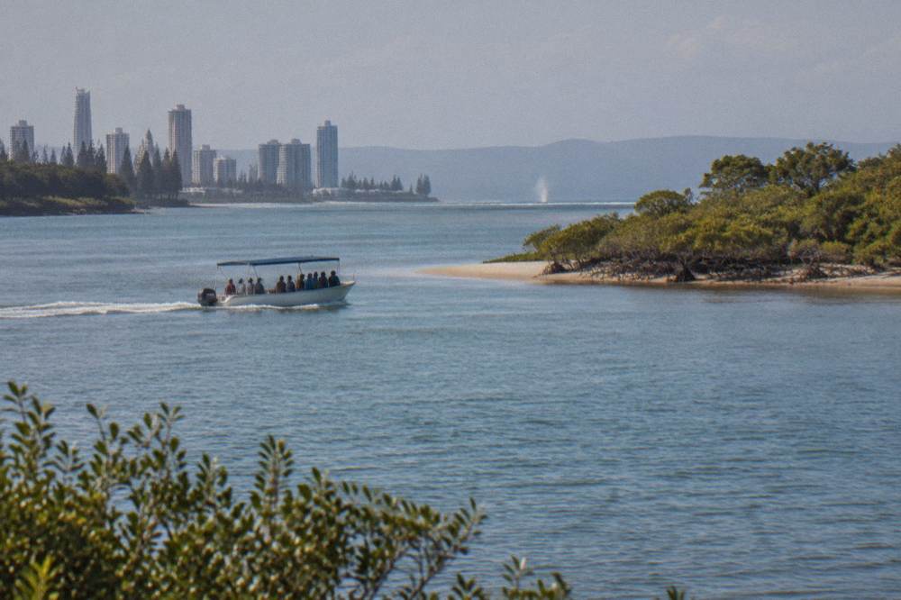 A small whale watching vessel cruising past a sandy island with mangroves in a wide bay