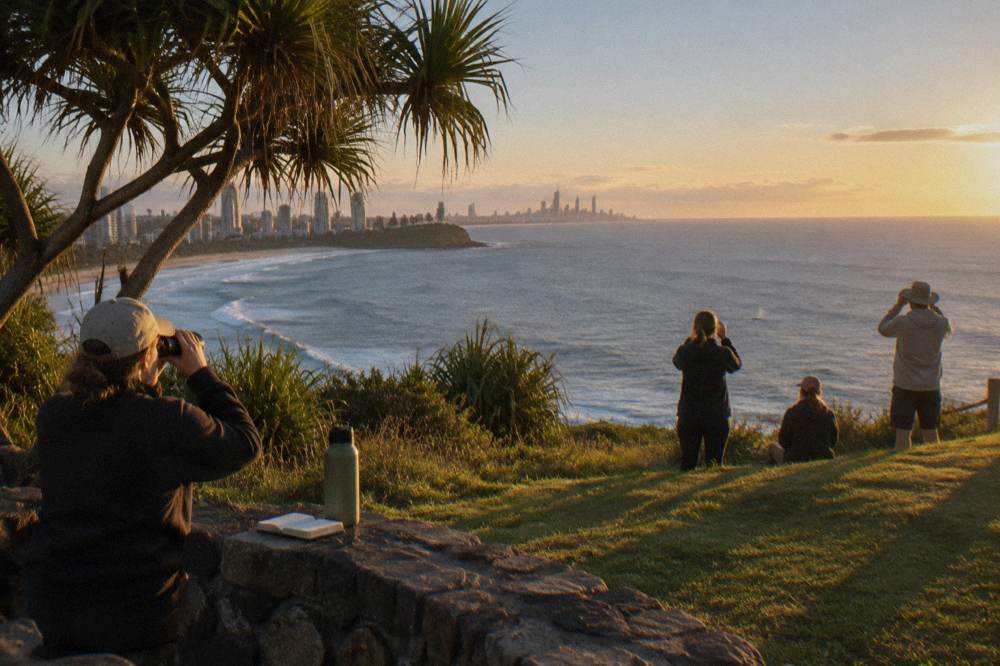 Grassy headland lookout above the ocean at Burleigh Heads