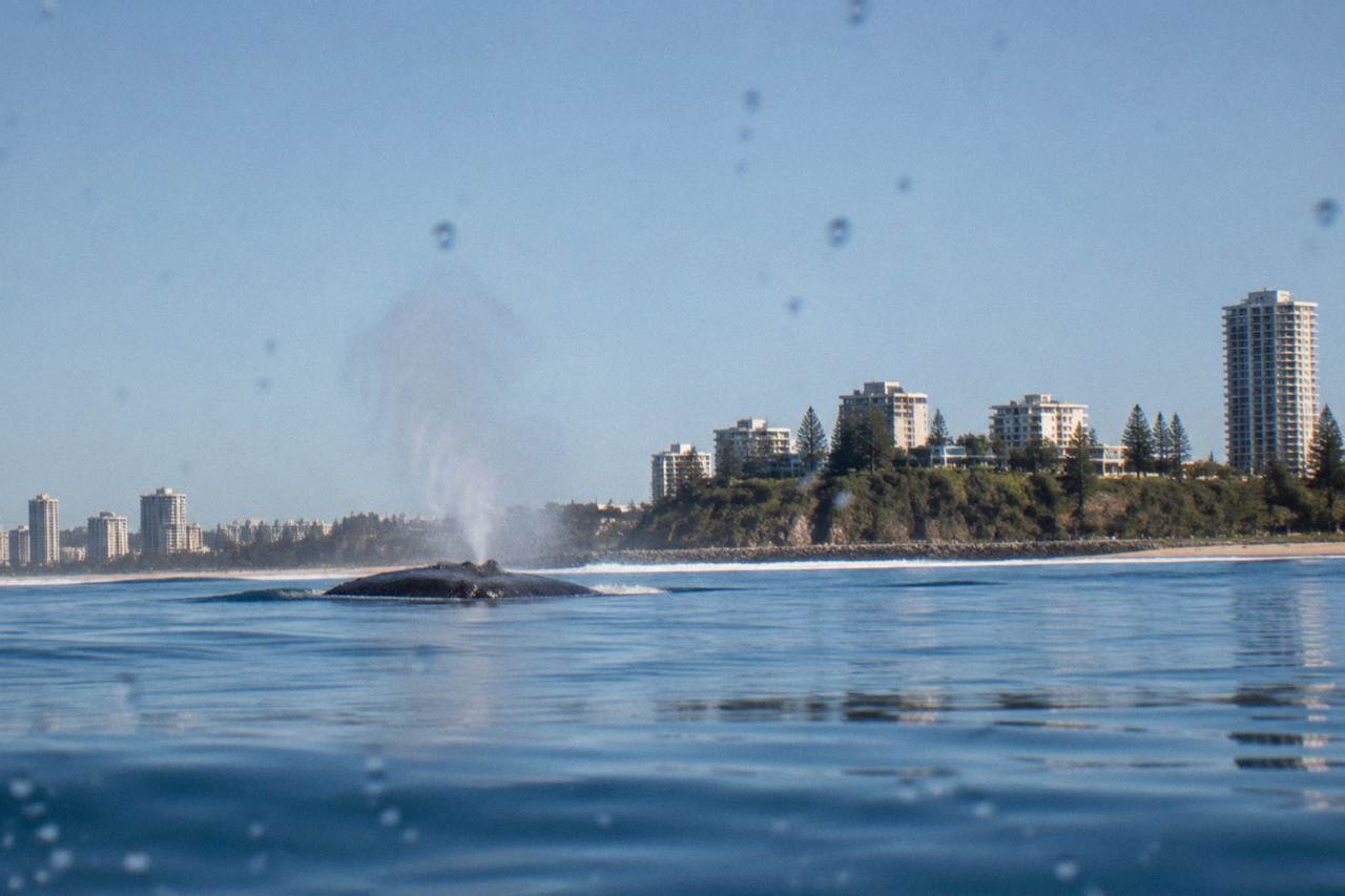 Calm ocean water off a headland under a clear winter sky on the Gold Coast