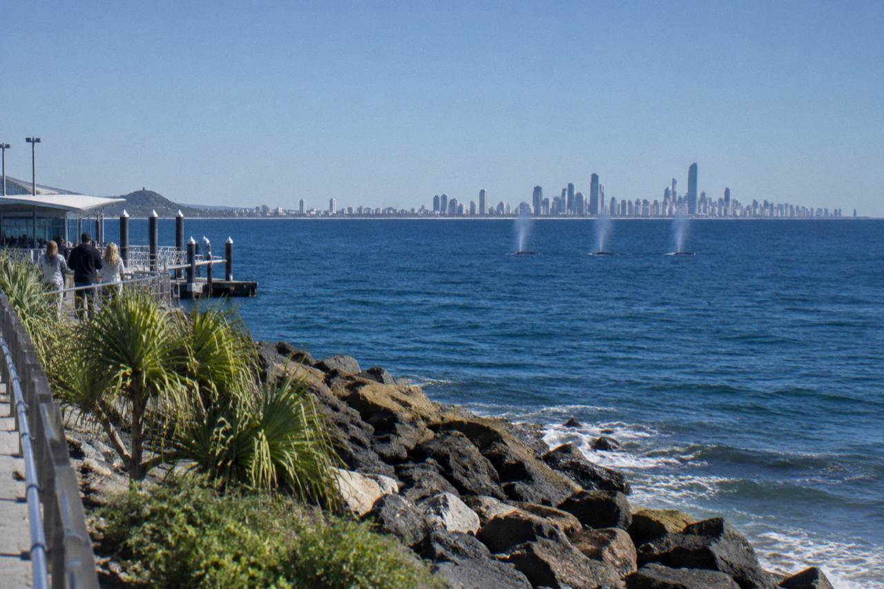 Calm ocean off the Gold Coast under a clear winter sky, with distant humpback whale spouts near the horizon