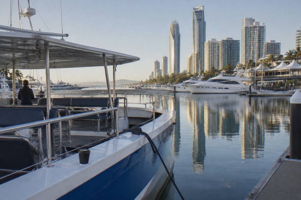 A purpose-built whale watching catamaran at a marina jetty on calm water