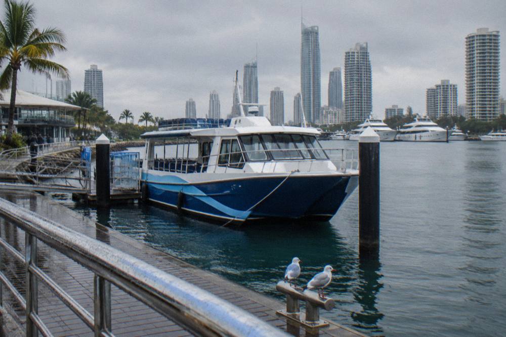 A cruise terminal jetty on a sheltered Broadwater with a whale watching boat moored