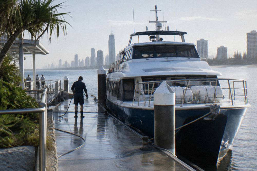 A whale watching boat at a Main Beach terminal jetty with apartment towers behind
