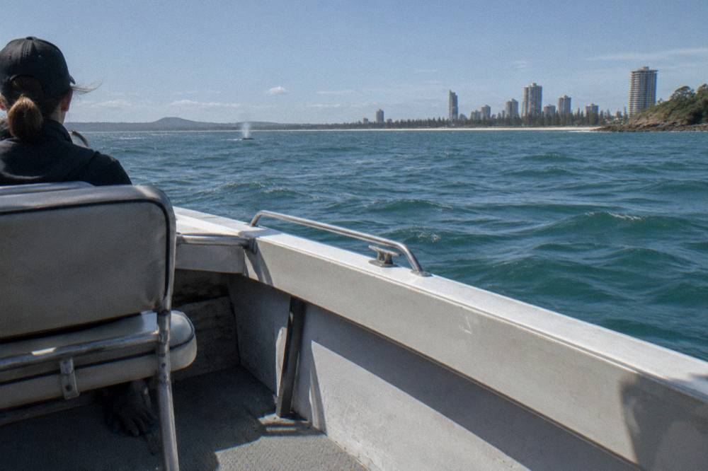 A whale watching boat holding position near a distant whale blow on the horizon