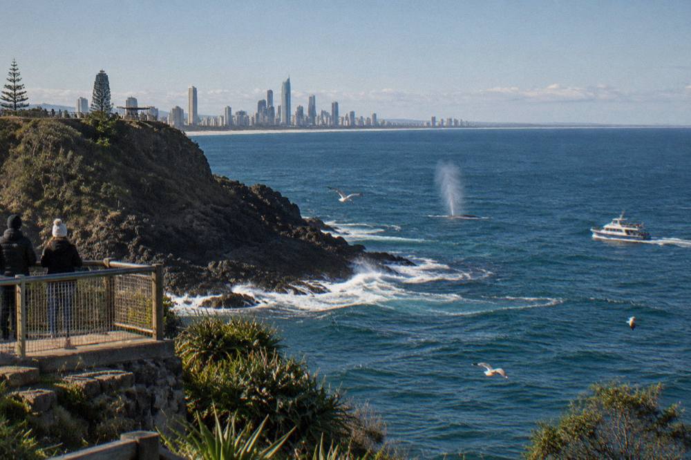 A whale watching boat cruising past a headland in clear morning light
