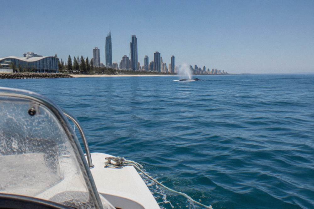 A small boat at eye level with calm ocean water and a distant whale spray