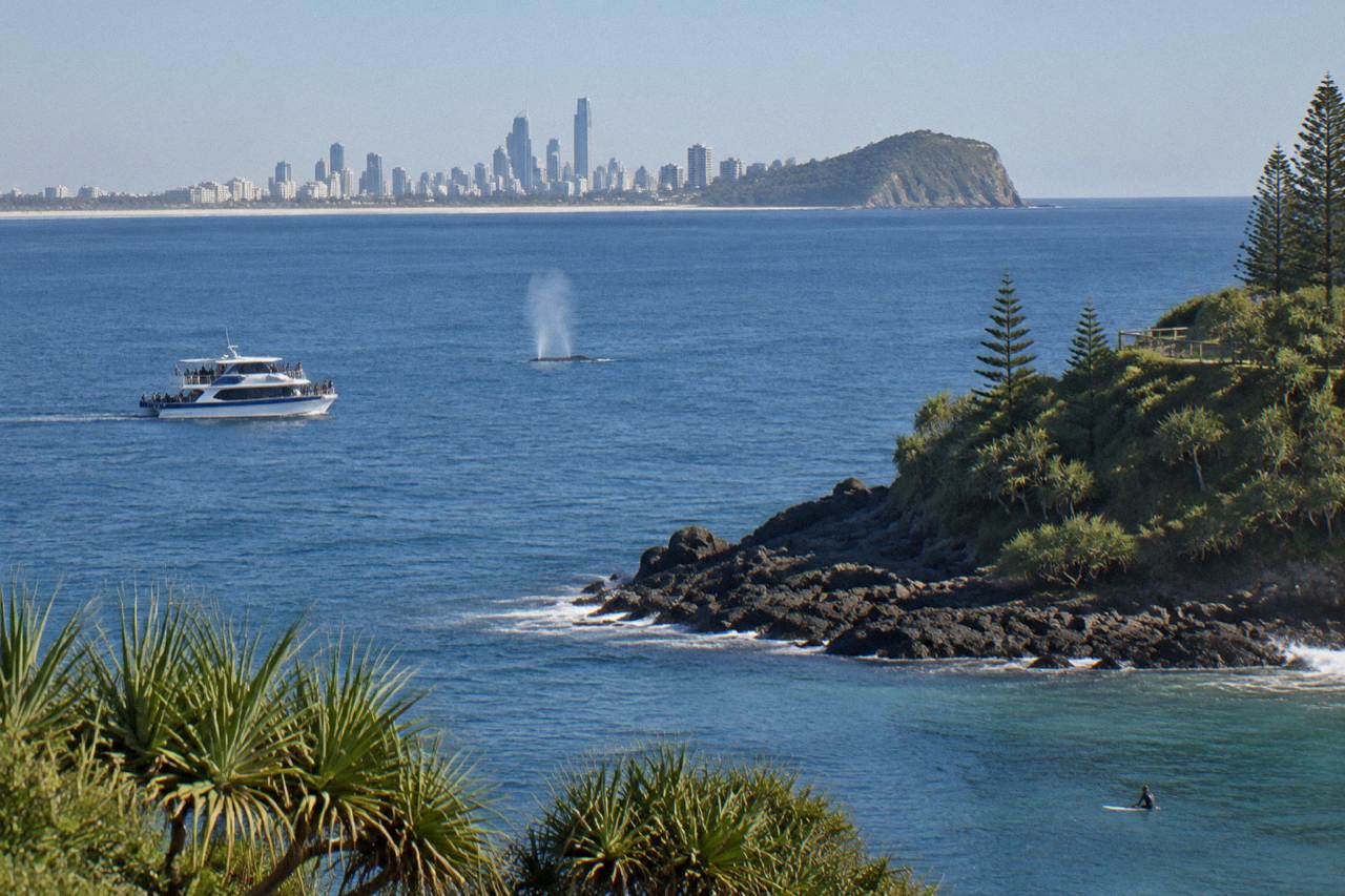 A whale watching boat cruising past a headland on calm blue water